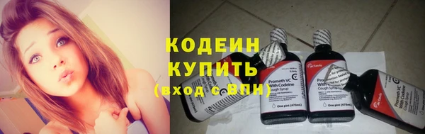 гидра Анжеро-Судженск