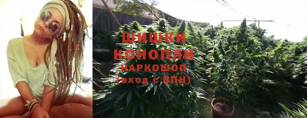 ГАЛЛЮЦИНОГЕННЫЕ ГРИБЫ Дмитров