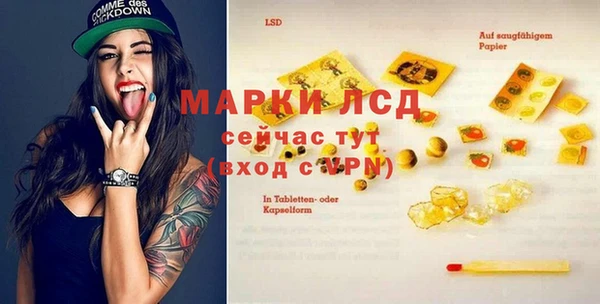 ГАЛЛЮЦИНОГЕННЫЕ ГРИБЫ Апатиты